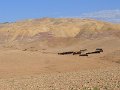 Mount Nebo (3)